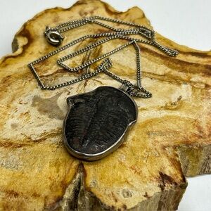 Vintage Trilobite Fossil Pendant In Sterling On Silver Tone Chain Unmarked